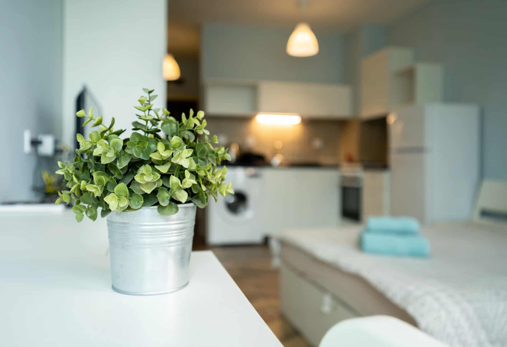 Studio - apartment in Studentski Grad, Sofia - image 2